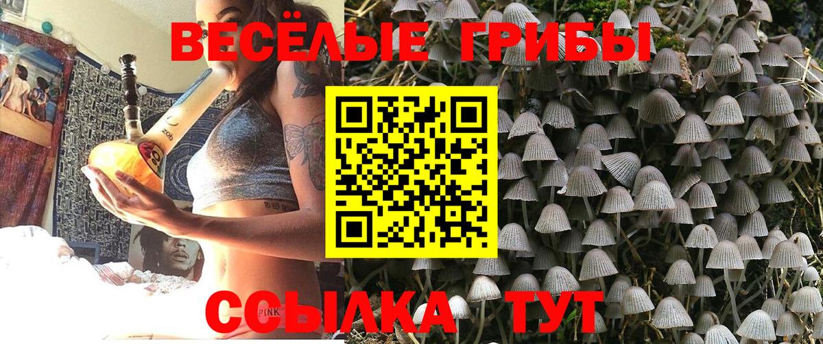 Галлюциногенные грибы ЛСД  Галлюциногенные грибы прущие грибы  Выкса  Вход с VPN 